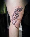 images/Galerie_Tattoos/thumbs/048.jpeg