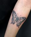 images/Galerie_Tattoos/thumbs/051.jpg