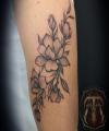 images/Galerie_Tattoos/thumbs/056.jpg