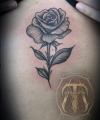 images/Galerie_Tattoos/thumbs/071.jpg